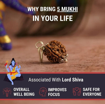 Mahadev Trishul Karungali Rudraksha Mala (Silver Cap) 4.9 ( 63 Reviews )